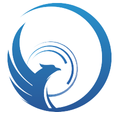 ChannelFalcon Logo