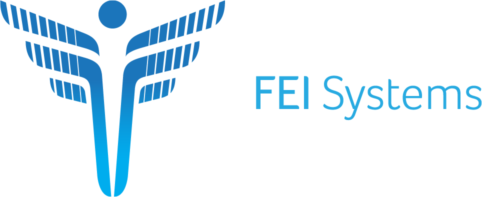 fei systems