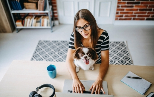 Brunette woman with glasses typing on her laptop at home with a dog in her lap