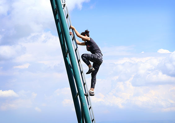 Climbing IT Career Ladder