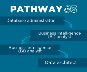 Data architect pathway 3 Data architect pathway 3