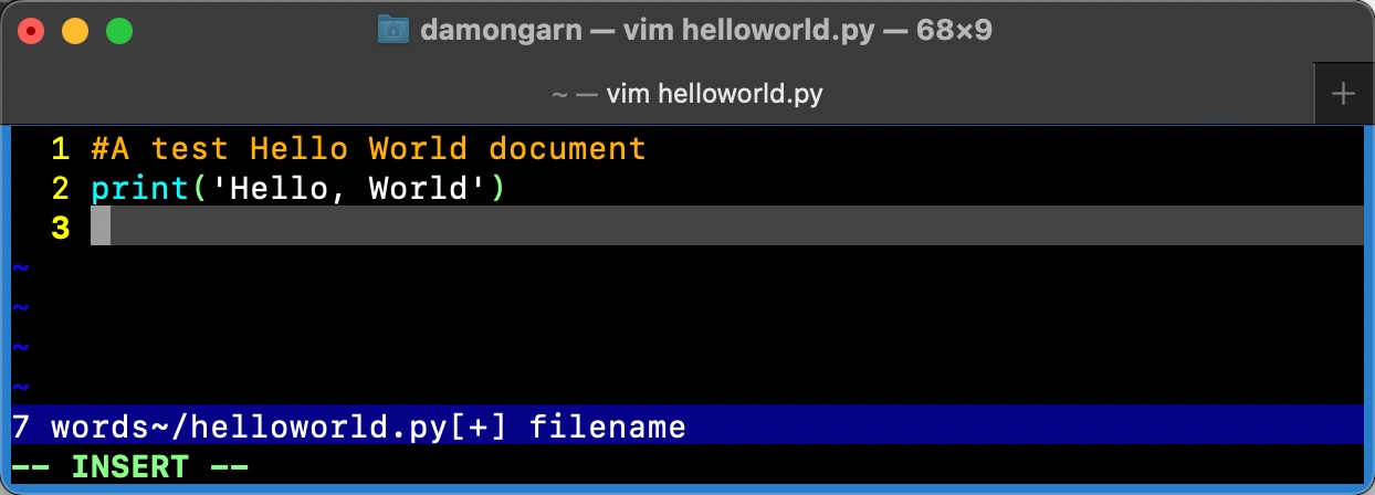 Figure 10 IDE helloworld-vim