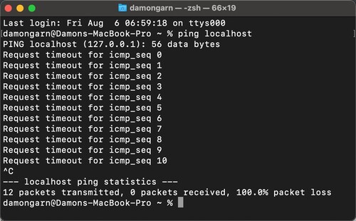 Figure1Ping