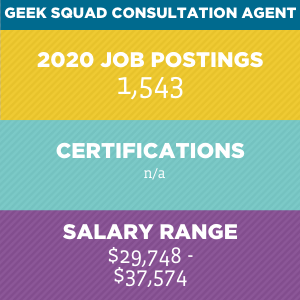 Geek Squad Consultation Agent V2 Geek Squad Consultation Agent V2