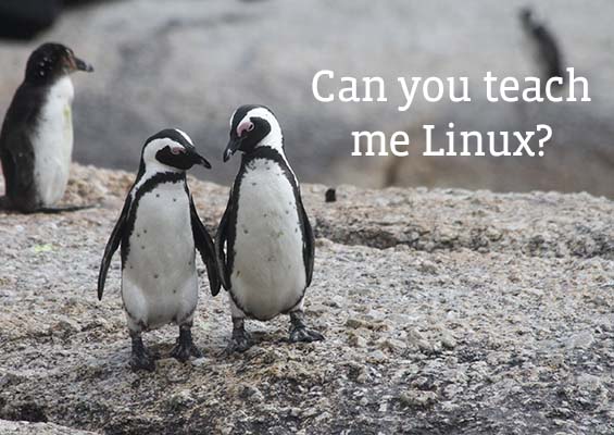 How to Learn Linux