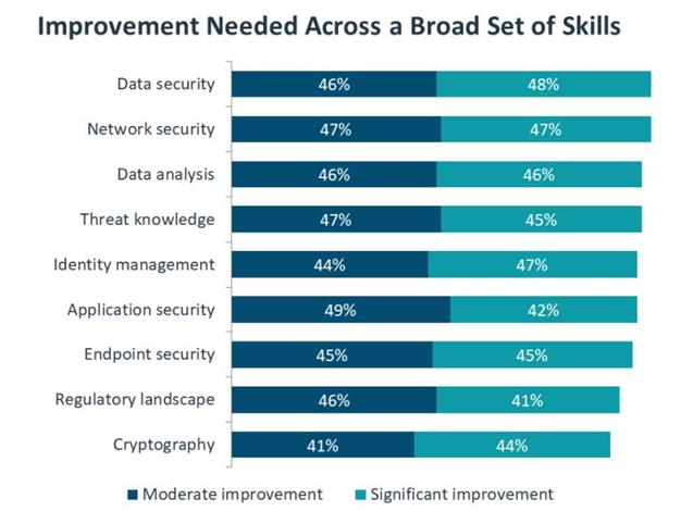 Improvement needed for cyber skills