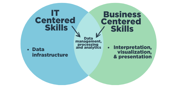 A venn diagram iIntersecting IT, business, and data analytics skills
