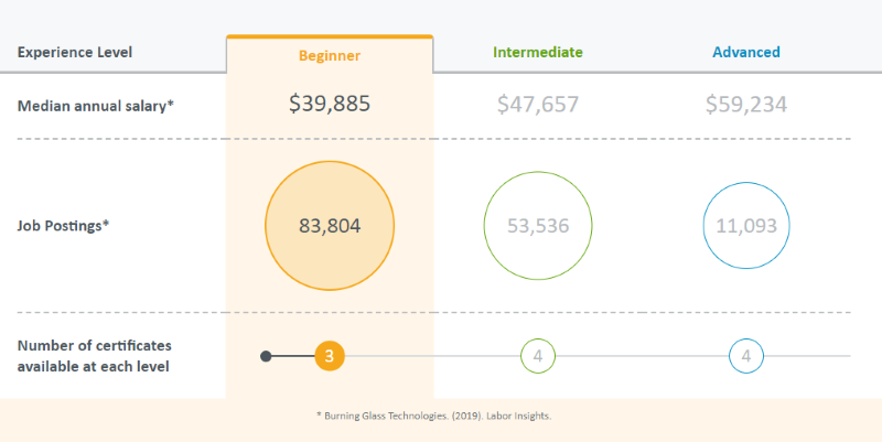 IT Support Salary and Job Growth