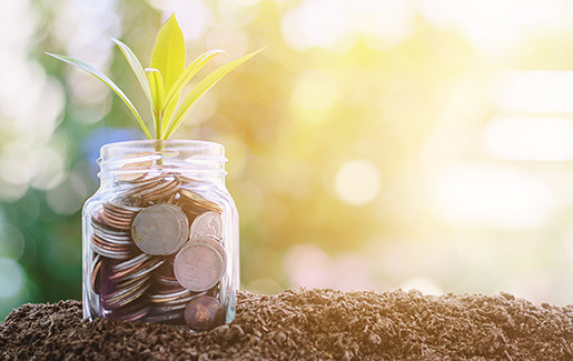 msp-investments-impact msp-investments-impact