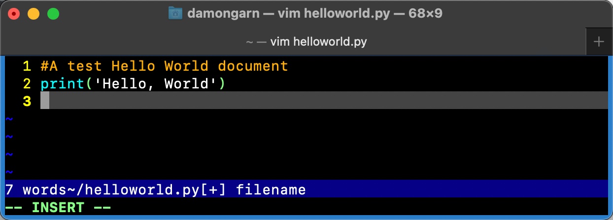 Python Image 4 helloworld-vim