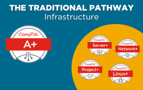 The Traditional Pathway Infrastructure