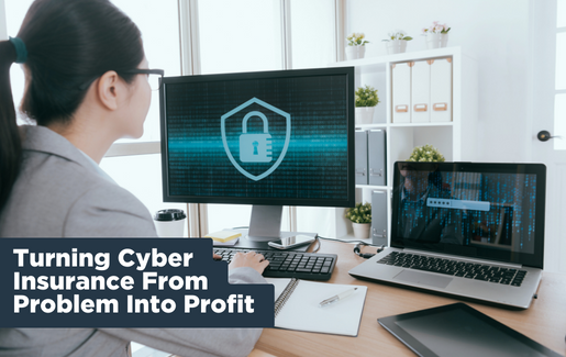 Turning Cyber Insurance From Problem Into Profit