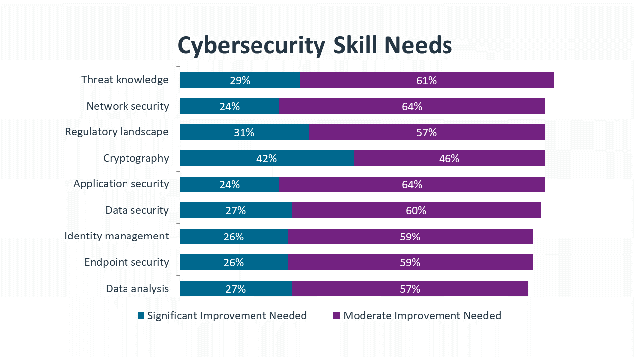 Cybersecurity Skill Needs
