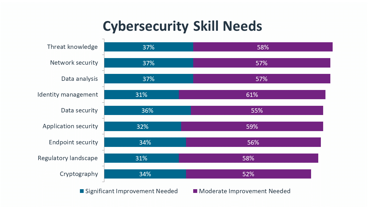 Cybersecurity Skill Needs