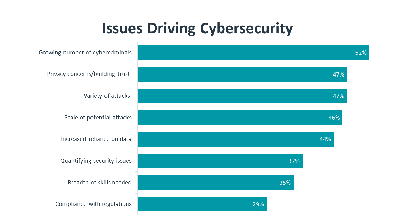 Issues Driving Cybersecurity