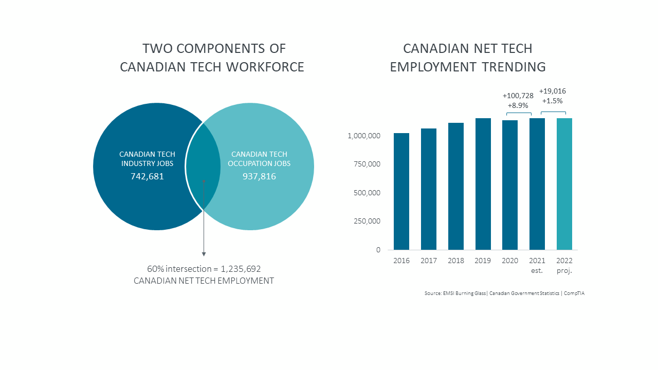Two Components of Canadian Tech Workforce