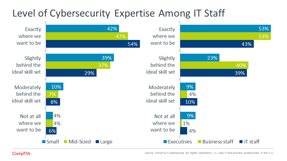 Level of Cybersecurity Expertise Among IT Staff