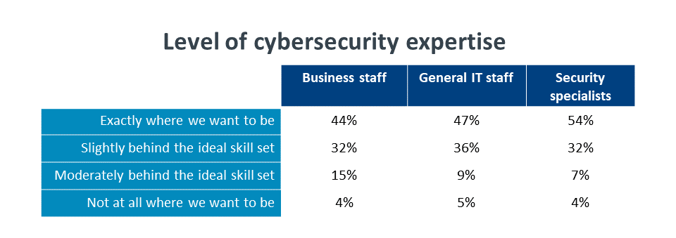 Level of cybersecurity expertise