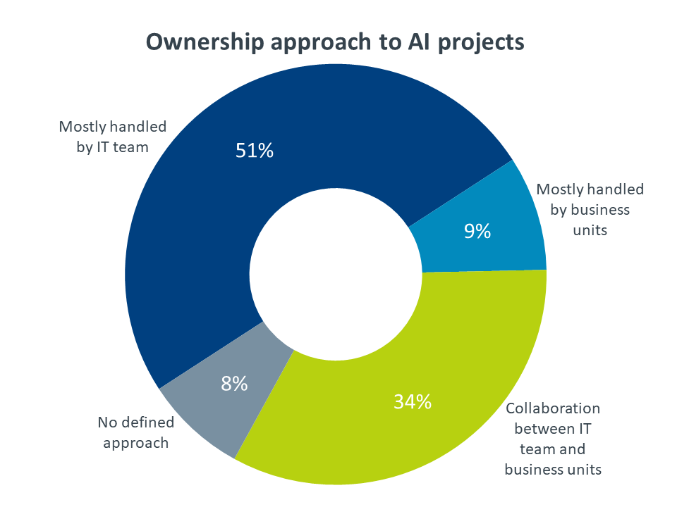 Ownership approach to AI projects