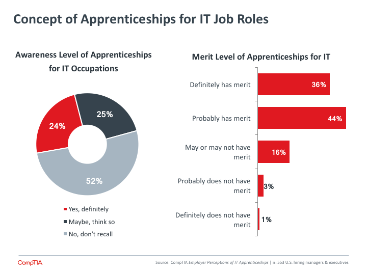 Concept of Apprenticeships for IT Job Roles