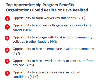 Top Apprenticeship Program Benefits Organizations Could Realize of Have Realized