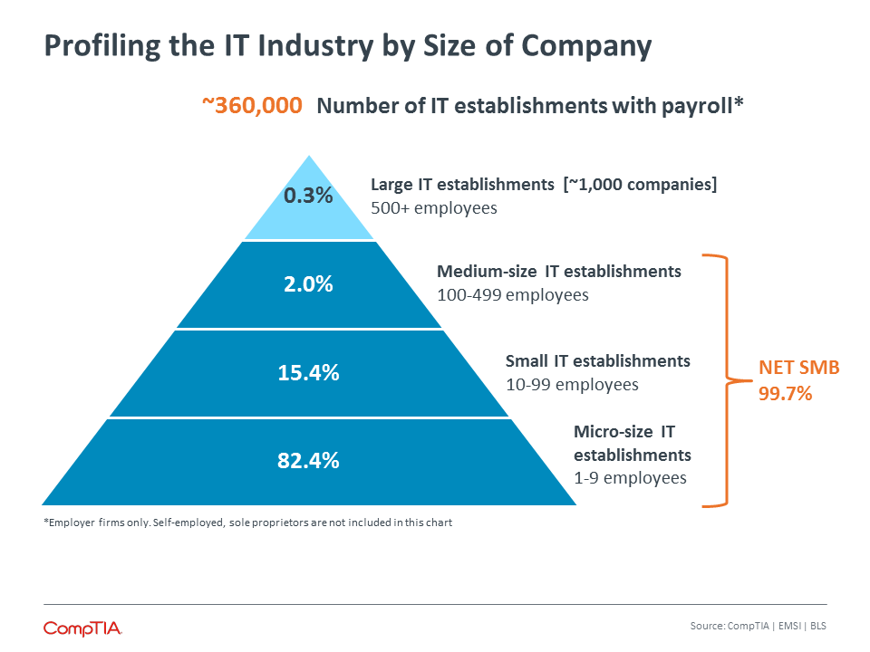 Profiling the IT Industry by Size of Company Profiling the IT Industry by Size of Company