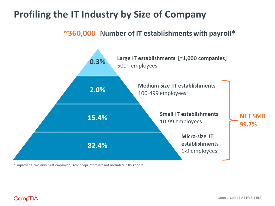 Profiling the IT Industry by Size of Company