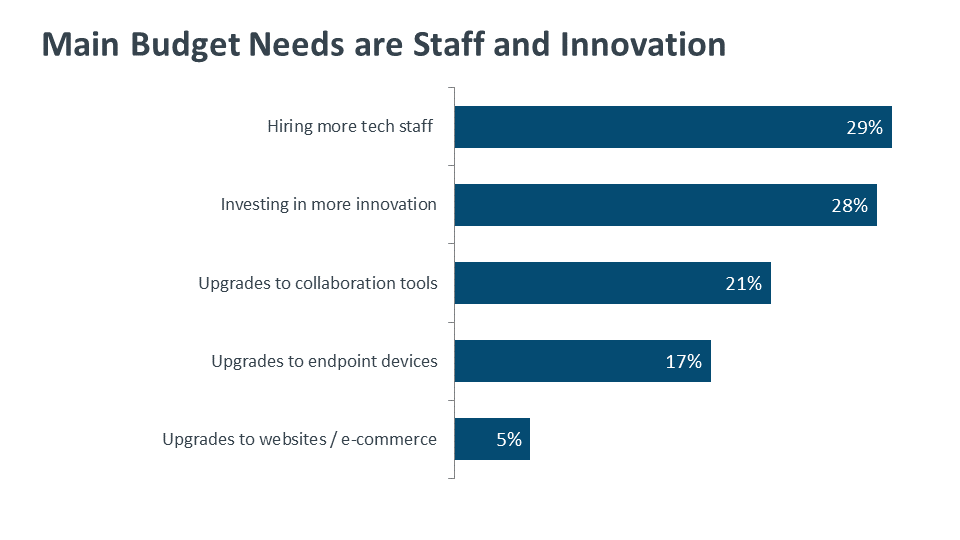 Main Budget Needs are Staff and Innovation