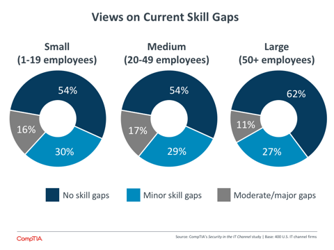 Views on Current Skill Gaps Views on Current Skill Gaps