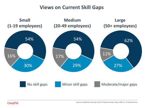 Views on Current Skill Gaps