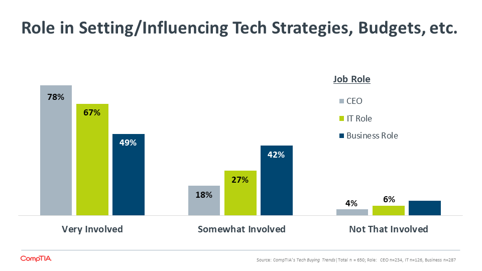 Role in Setting Influencing Tech Strategies, Budgets, etc.