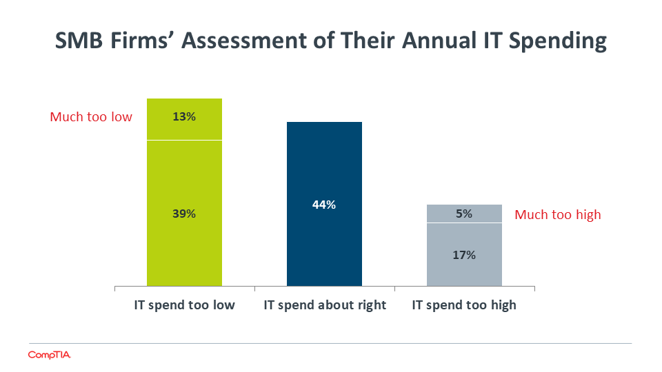 SMB Firms' Assessment of Their Annual IT Spending SMB Firms' Assessment of Their Annual IT Spending
