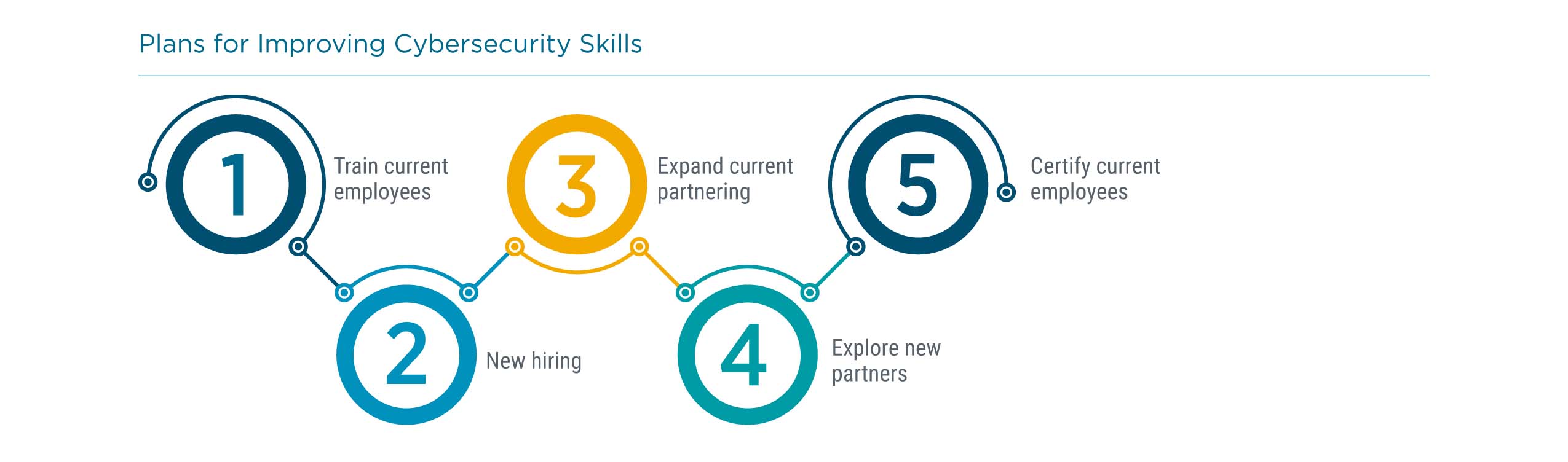 Plans for Improving Cybersecurity Skills Plans for Improving Cybersecurity Skills