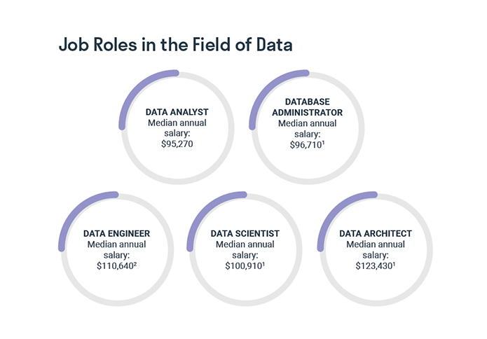 Job Roles in the Field of Data