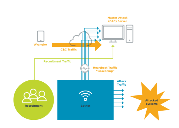 A diagram of C&C and heartbeat traffic