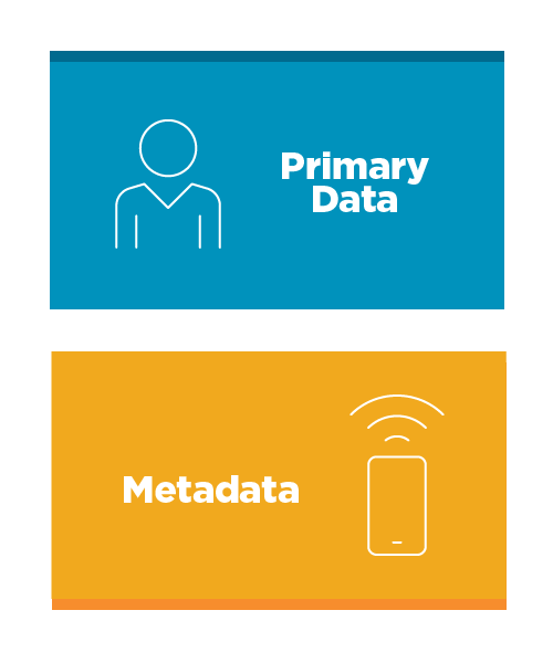 Primary Data vs Metadata Primary Data vs Metadata