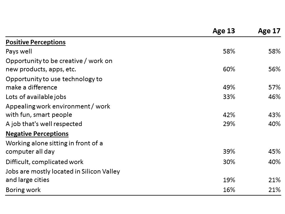 Positive and Negative Perceptions of IT Careers